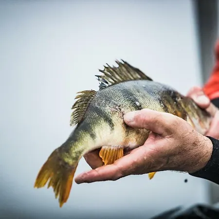 Residenz Seeterrasse Restaurant & Hotel