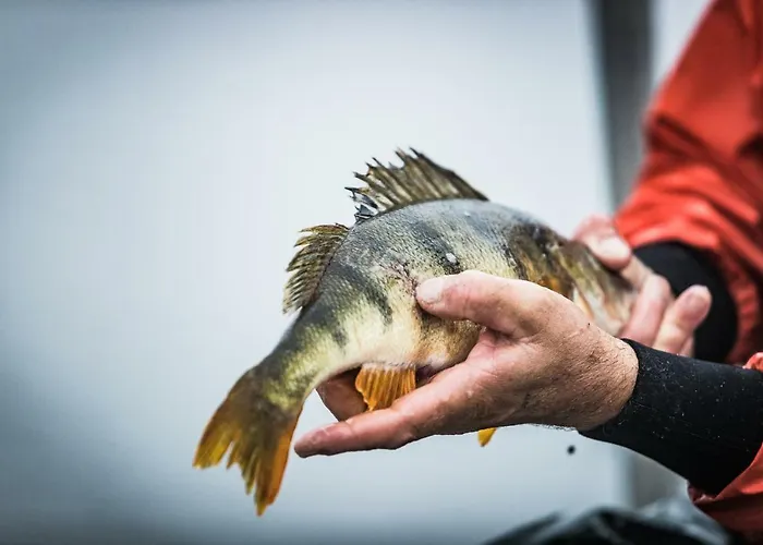 Residenz Seeterrasse Restaurant & Hotel